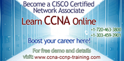 CCNA Online Training – CISCO Online Training in USA