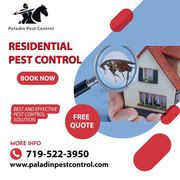 Top Rated Pest Control Company in Colorado Springs