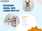 Your Reliable Supplier of Veterinary Supplies